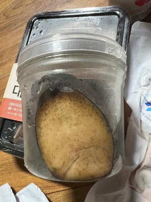 구매후기 사진