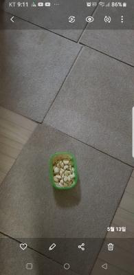 사진후기 대표 이미지