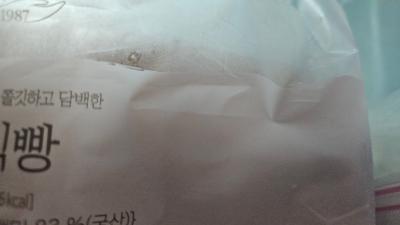 사진후기 대표 이미지