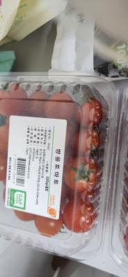 사진후기 대표 이미지