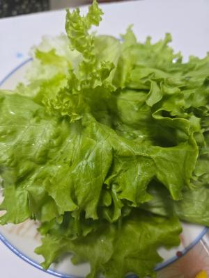 구매후기 사진