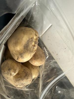 구매후기 사진