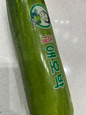 사진후기 대표 이미지