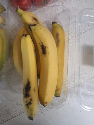 사진후기 대표 이미지