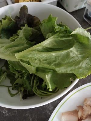 구매후기 사진