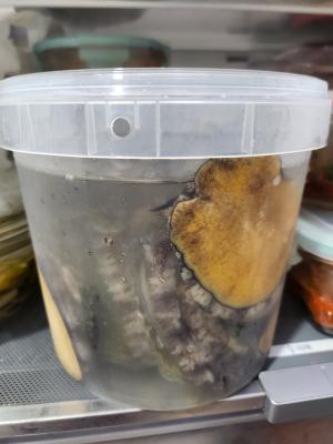 구매후기 사진