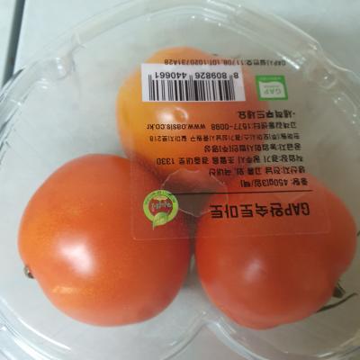 사진후기 대표 이미지