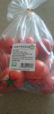 사진후기 대표 이미지