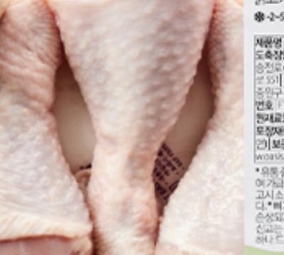 사진후기 대표 이미지