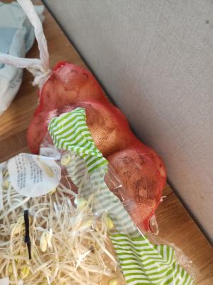 사진후기 대표 이미지