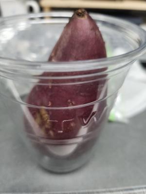 사진후기 대표 이미지
