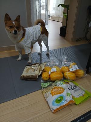 구매후기 사진