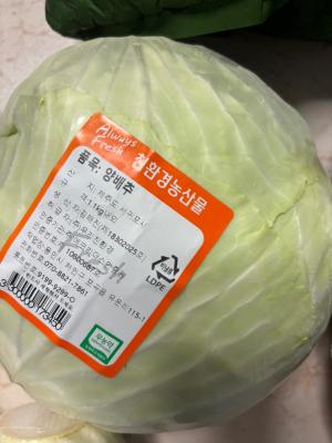사진후기 대표 이미지