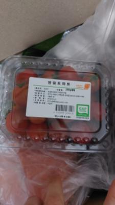 사진후기 대표 이미지