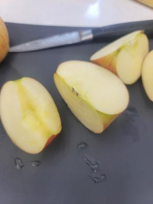 사진후기 대표 이미지