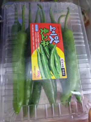 사진후기 대표 이미지