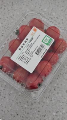 사진후기 대표 이미지