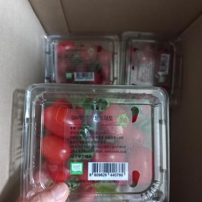 사진후기 대표 이미지