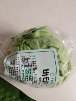 사진후기 대표 이미지