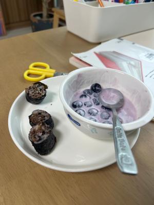 구매후기 사진