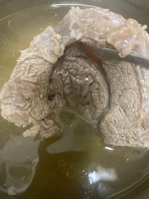구매후기 사진