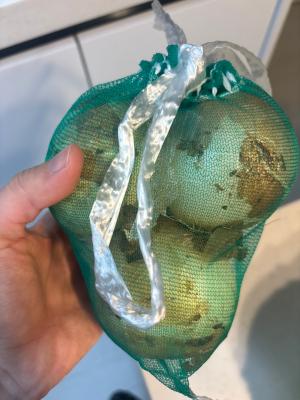 구매후기 사진