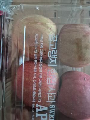 사진후기 대표 이미지