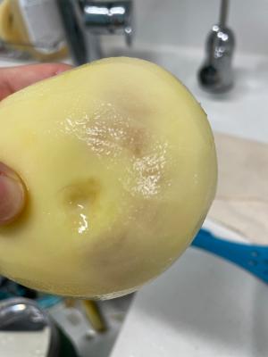 구매후기 사진