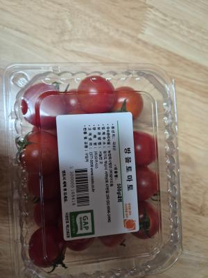 사진후기 대표 이미지