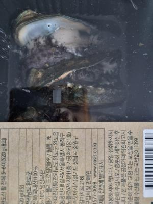 구매후기 사진