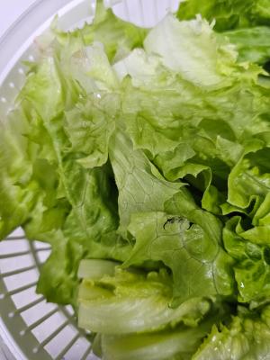 구매후기 사진