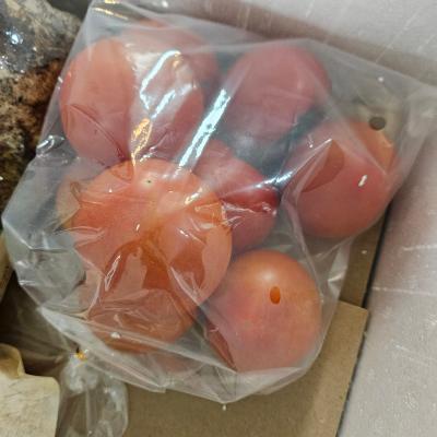 사진후기 대표 이미지