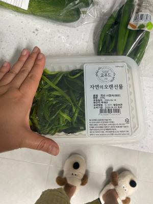 구매후기 사진