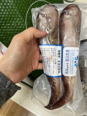 사진후기 대표 이미지