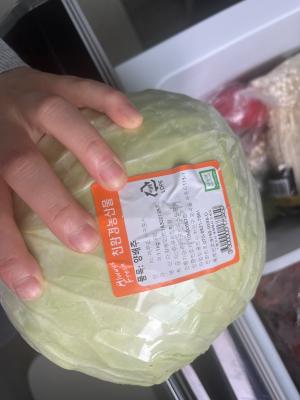 사진후기 대표 이미지
