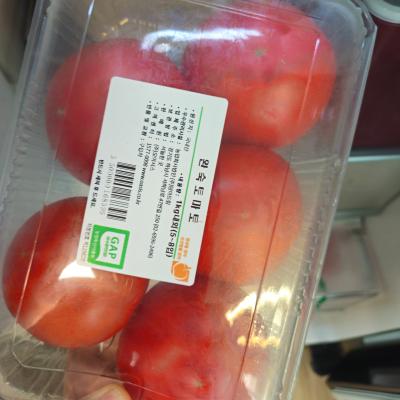 사진후기 대표 이미지