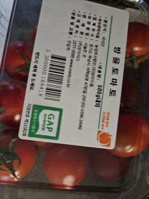 사진후기 대표 이미지