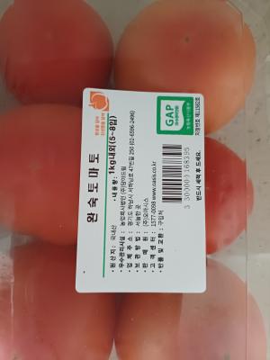 사진후기 대표 이미지