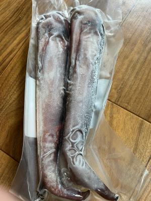 사진후기 대표 이미지