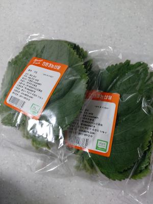 사진후기 대표 이미지