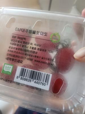 사진후기 대표 이미지