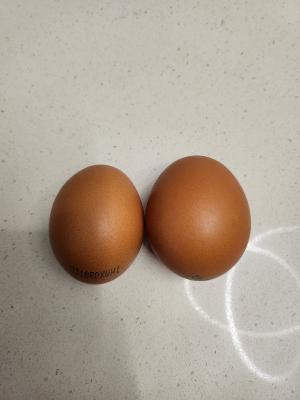 사진후기 대표 이미지