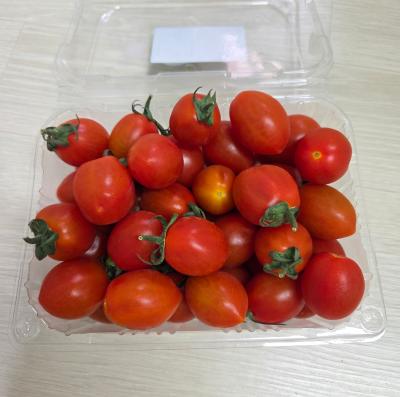 사진후기 대표 이미지