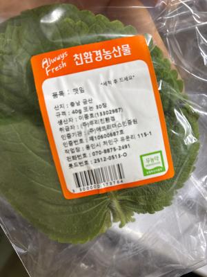 사진후기 대표 이미지