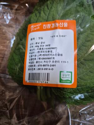 사진후기 대표 이미지