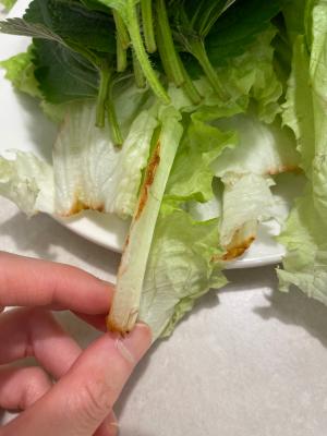 사진후기 대표 이미지