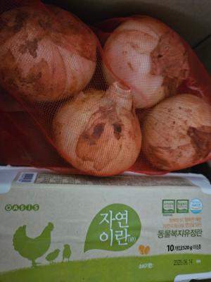 사진후기 대표 이미지