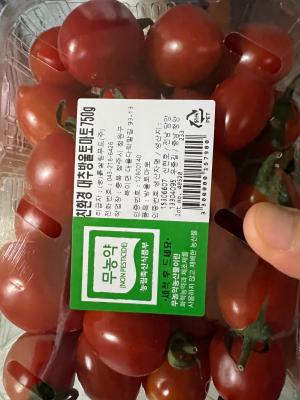사진후기 대표 이미지