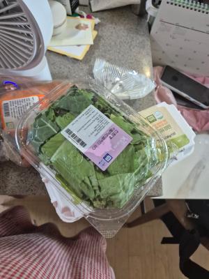 사진후기 대표 이미지
