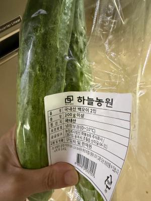 사진후기 대표 이미지